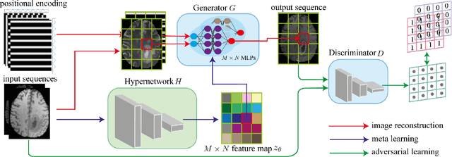 Figure 1 for Local implicit neural representations for multi-sequence MRI translation