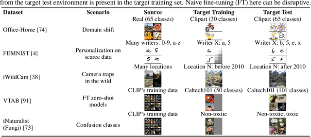 Figure 1 for Holistic Transfer: Towards Non-Disruptive Fine-Tuning with Partial Target Data