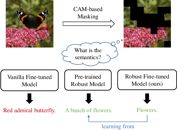 Figure 1 for Masked Images Are Counterfactual Samples for Robust Fine-tuning