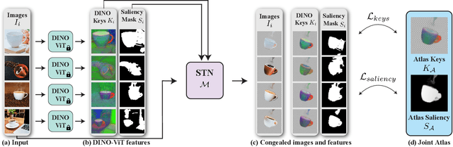 Figure 2 for Neural Congealing: Aligning Images to a Joint Semantic Atlas