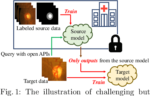 Figure 1 for Black-box Source-free Domain Adaptation via Two-stage Knowledge Distillation