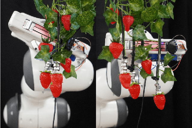Figure 1 for Deep Functional Predictive Control for Strawberry Cluster Manipulation using Tactile Prediction