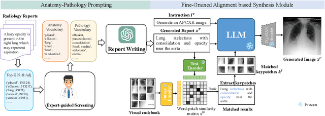 Figure 1 for Medical Image Synthesis via Fine-Grained Image-Text Alignment and Anatomy-Pathology Prompting