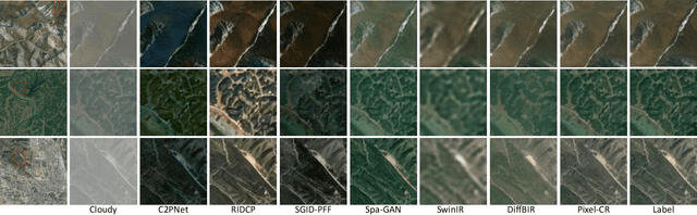Figure 4 for IDF-CR: Iterative Diffusion Process for Divide-and-Conquer Cloud Removal in Remote-sensing Images