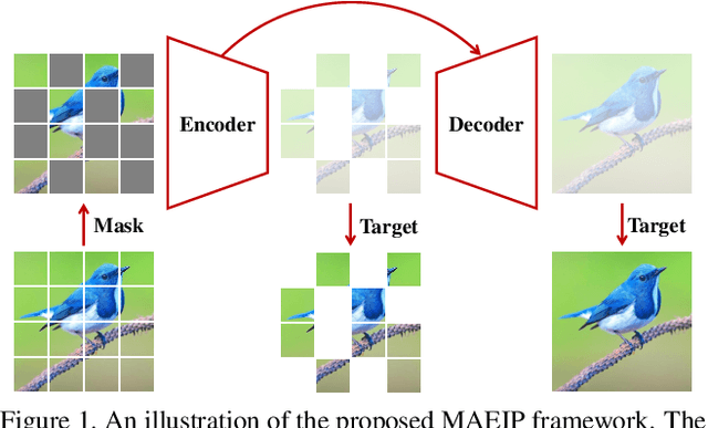 Figure 1 for Masked Autoencoders as Image Processors
