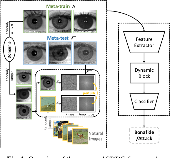 Figure 1 for Single Domain Dynamic Generalization for Iris Presentation Attack Detection