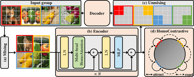 Figure 3 for Mixed Autoencoder for Self-supervised Visual Representation Learning