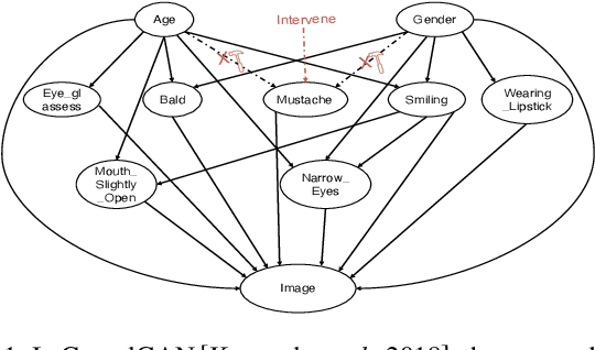 Figure 1 for On the Opportunity of Causal Deep Generative Models: A Survey and Future Directions
