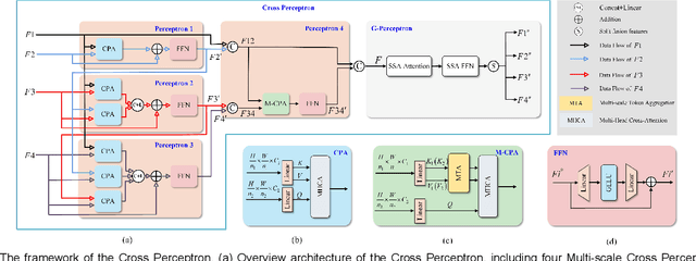 Figure 2 for MCPA: Multi-scale Cross Perceptron Attention Network for 2D Medical Image Segmentation