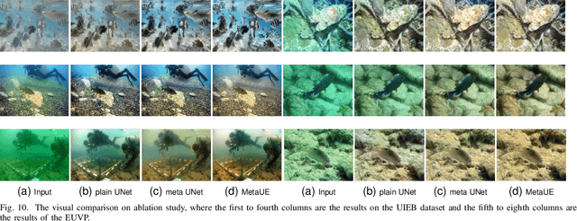 Figure 2 for MetaUE: Model-based Meta-learning for Underwater Image Enhancement