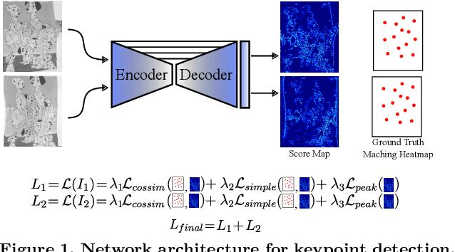 Figure 1 for Improving the matching of deformable objects by learning to detect keypoints
