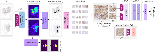 Figure 2 for Mimicking a Pathologist: Dual Attention Model for Scoring of Gigapixel Histology Images