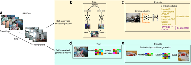 Figure 1 for What can generic neural networks learn from a child's visual experience?
