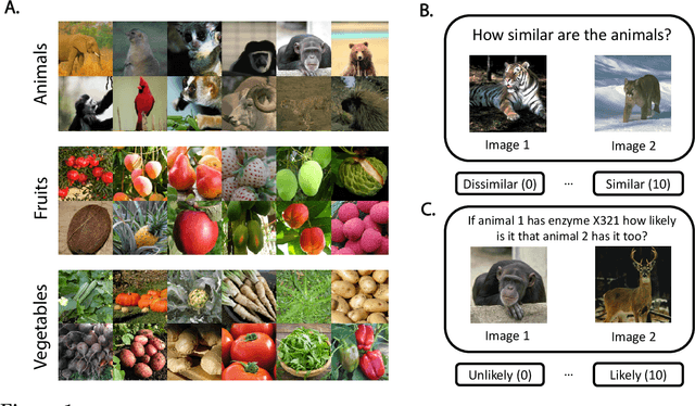 Figure 1 for The Universal Law of Generalization Holds for Naturalistic Stimuli