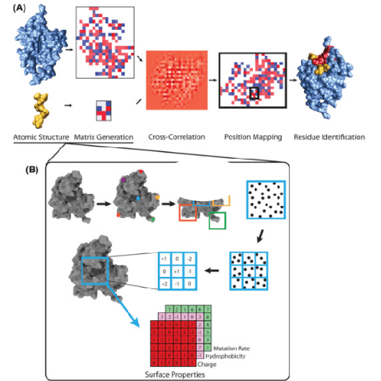 Figure 1 for Implementation of The Future of Drug Discovery: QuantumBased Machine Learning Simulation (QMLS)
