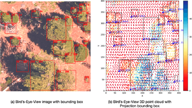 Figure 3 for Tree Counting by Bridging 3D Point Clouds with Imagery