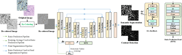 Figure 3 for DARC: Distribution-Aware Re-Coloring Model for Generalizable Nucleus Segmentation