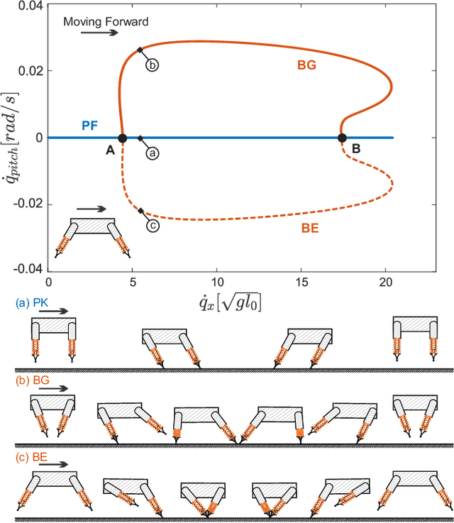 Figure 3 for Breaking Symmetries Leads to Diverse Quadrupedal Gaits