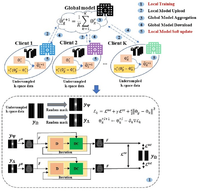 Figure 1 for Self-Supervised Federated Learning for Fast MR Imaging