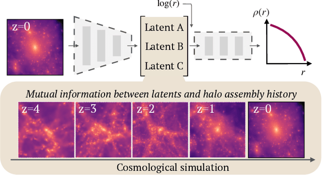 Figure 1 for Explaining dark matter halo density profiles with neural networks