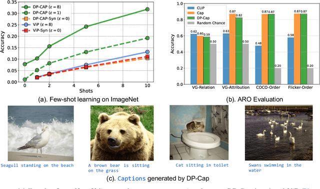 Figure 1 for Differentially Private Representation Learning via Image Captioning