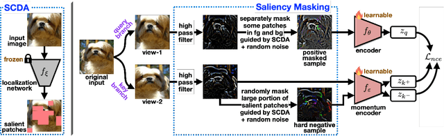 Figure 1 for Masking Improves Contrastive Self-Supervised Learning for ConvNets, and Saliency Tells You Where