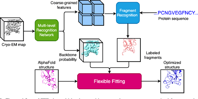 Figure 3 for FFF: Fragments-Guided Flexible Fitting for Building Complete Protein Structures