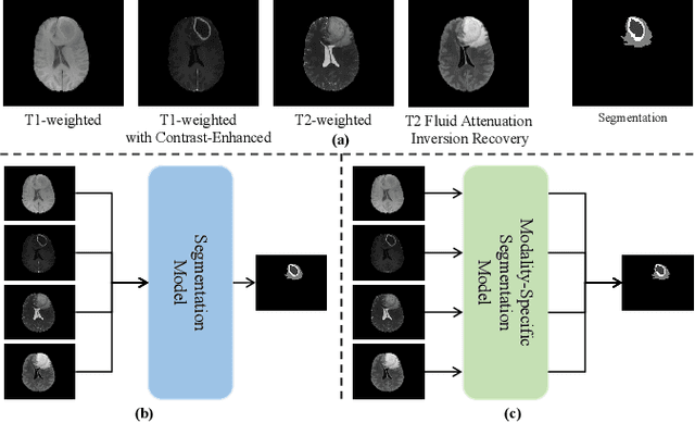 Figure 1 for Modality-Aware and Shift Mixer for Multi-modal Brain Tumor Segmentation