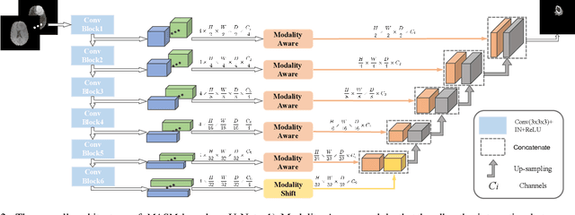 Figure 3 for Modality-Aware and Shift Mixer for Multi-modal Brain Tumor Segmentation