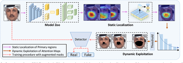 Figure 3 for Towards Generalizable Deepfake Detection by Primary Region Regularization