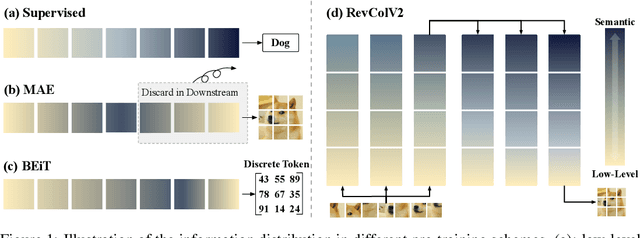 Figure 1 for RevColV2: Exploring Disentangled Representations in Masked Image Modeling