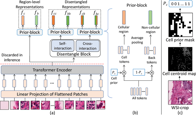 Figure 3 for Attention De-sparsification Matters: Inducing Diversity in Digital Pathology Representation Learning