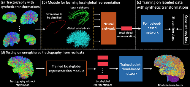 Figure 1 for TractCloud: Registration-free tractography parcellation with a novel local-global streamline point cloud representation