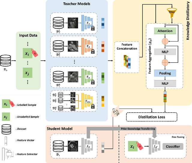 Figure 1 for Multiple Teachers-Meticulous Student: A Domain Adaptive Meta-Knowledge Distillation Model for Medical Image Classification