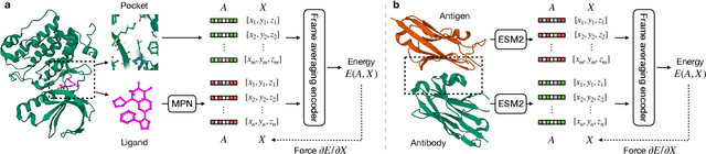 Figure 3 for Unsupervised Protein-Ligand Binding Energy Prediction via Neural Euler's Rotation Equation
