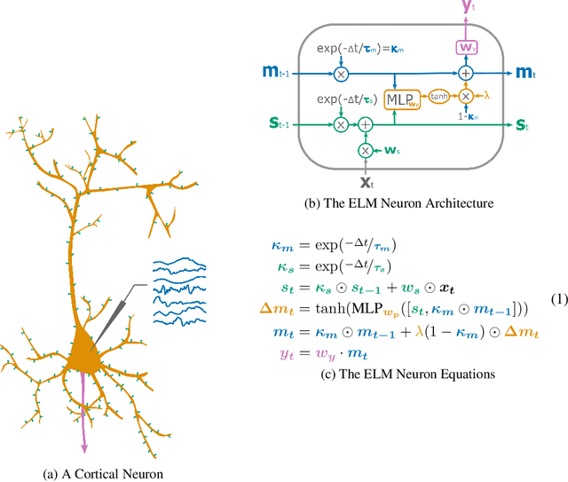 Figure 1 for The ELM Neuron: an Efficient and Expressive Cortical Neuron Model Can Solve Long-Horizon Tasks