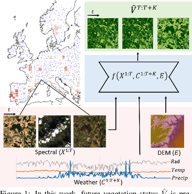 Figure 1 for Forecasting localized weather impacts on vegetation as seen from space with meteo-guided video prediction