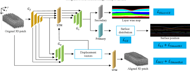 Figure 1 for Simultaneous Alignment and Surface Regression Using Hybrid 2D-3D Networks for 3D Coherent Layer Segmentation of Retinal OCT Images with Full and Sparse Annotations