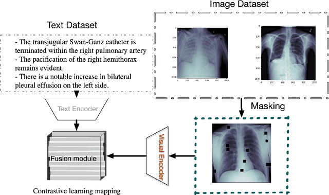 Figure 2 for MedFLIP: Medical Vision-and-Language Self-supervised Fast Pre-Training with Masked Autoencoder