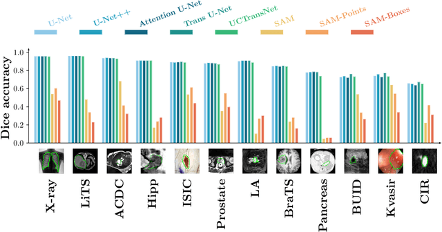Figure 2 for Accuracy of Segment-Anything Model (SAM) in medical image segmentation tasks