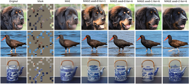 Figure 3 for MAGE: MAsked Generative Encoder to Unify Representation Learning and Image Synthesis