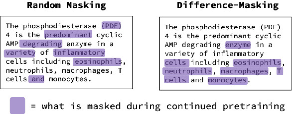 Figure 1 for Difference-Masking: Choosing What to Mask in Continued Pretraining