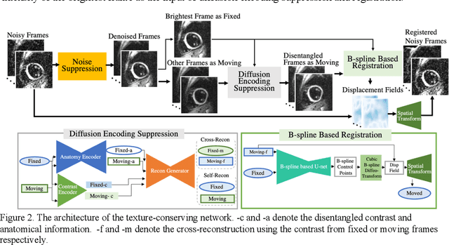 Figure 2 for Efficient Post-processing of Diffusion Tensor Cardiac Magnetic Imaging Using Texture-conserving Deformable Registration