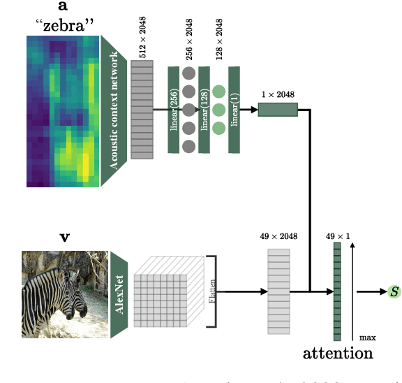 Figure 3 for Visually Grounded Speech Models have a Mutual Exclusivity Bias