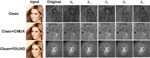 Figure 3 for Feature Extraction Matters More: Universal Deepfake Disruption through Attacking Ensemble Feature Extractors