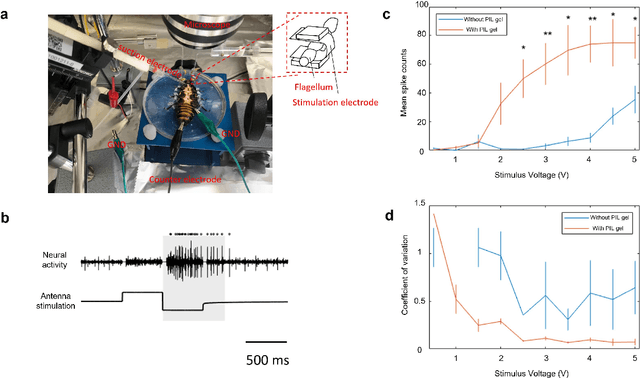 Figure 3 for Resilient conductive membrane synthesized by in-situ polymerisation for wearable non-invasive electronics on moving appendages of cyborg insect