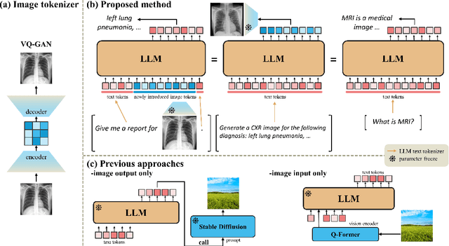 Figure 1 for LLM Itself Can Read and Generate CXR Images