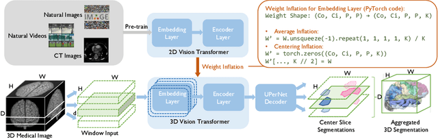 Figure 1 for Adapting Pre-trained Vision Transformers from 2D to 3D through Weight Inflation Improves Medical Image Segmentation