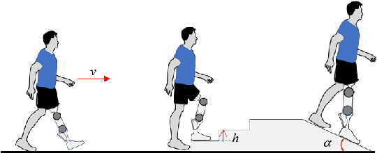 Figure 1 for Learning Task-adaptive Quasi-stiffness Control for A Powered Transfemoral Prosthesis