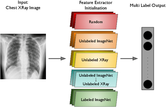 Figure 1 for Can we Adopt Self-supervised Pretraining for Chest X-Rays?